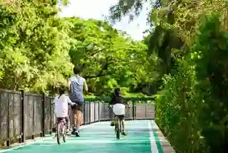 Cycling and Jogging Track