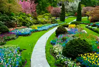 Landscaped Garden